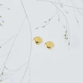 Mini Seashell Gold Stud Earrings